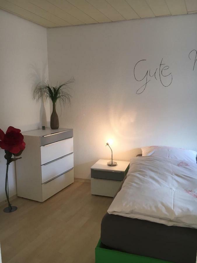 Gemuetliches Appartement Naehe Zentrum Mit Kueche Haßfurt Eksteriør bilde